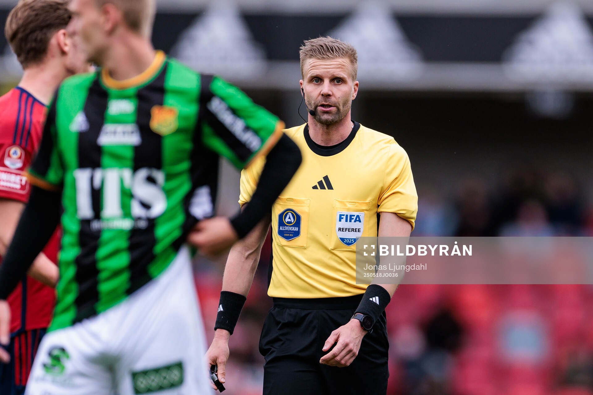 Domare Glenn Nyberg