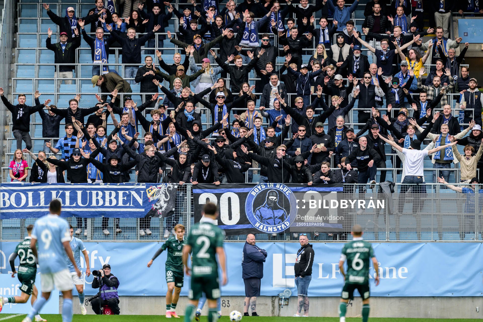 Hammarbys supportrar