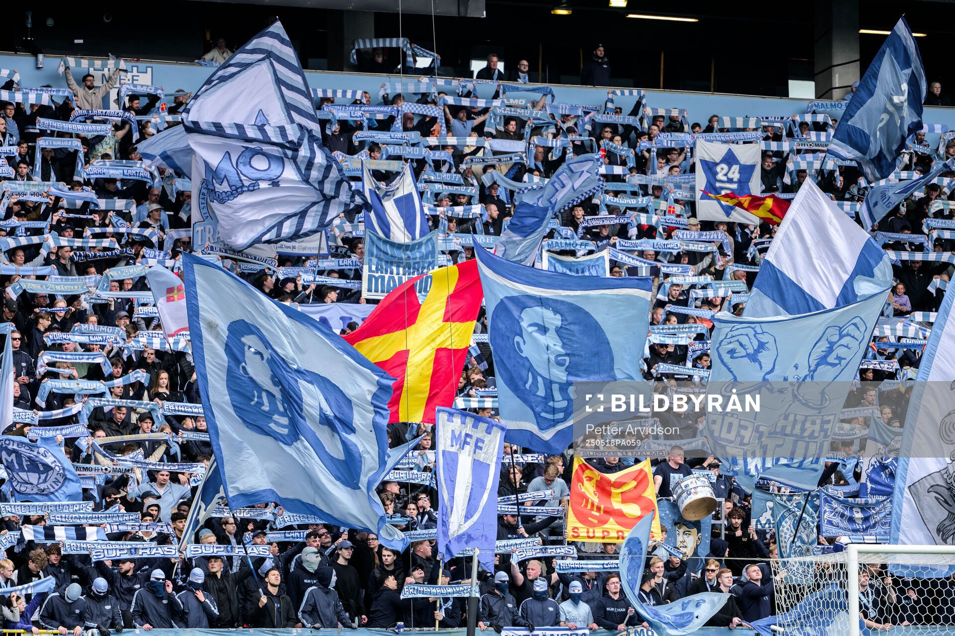 Malmö FFs supportrar