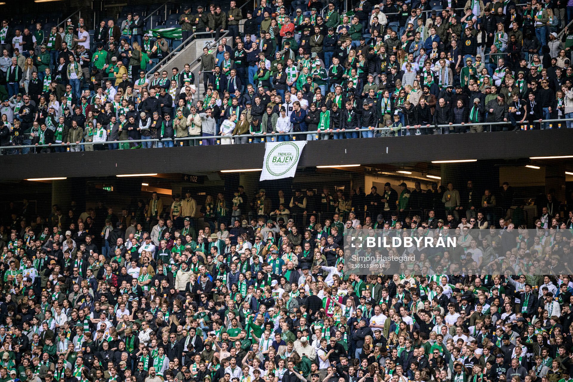 Hammarbys supportrar