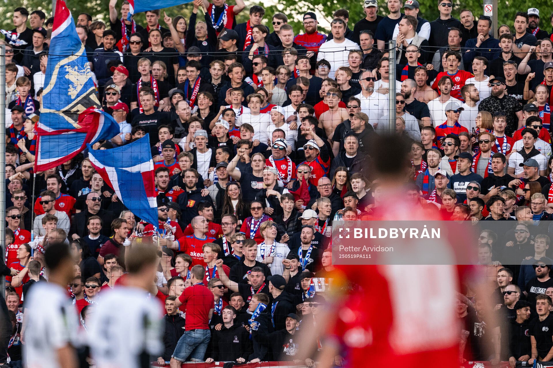 Helsingborgs supportrar jublar