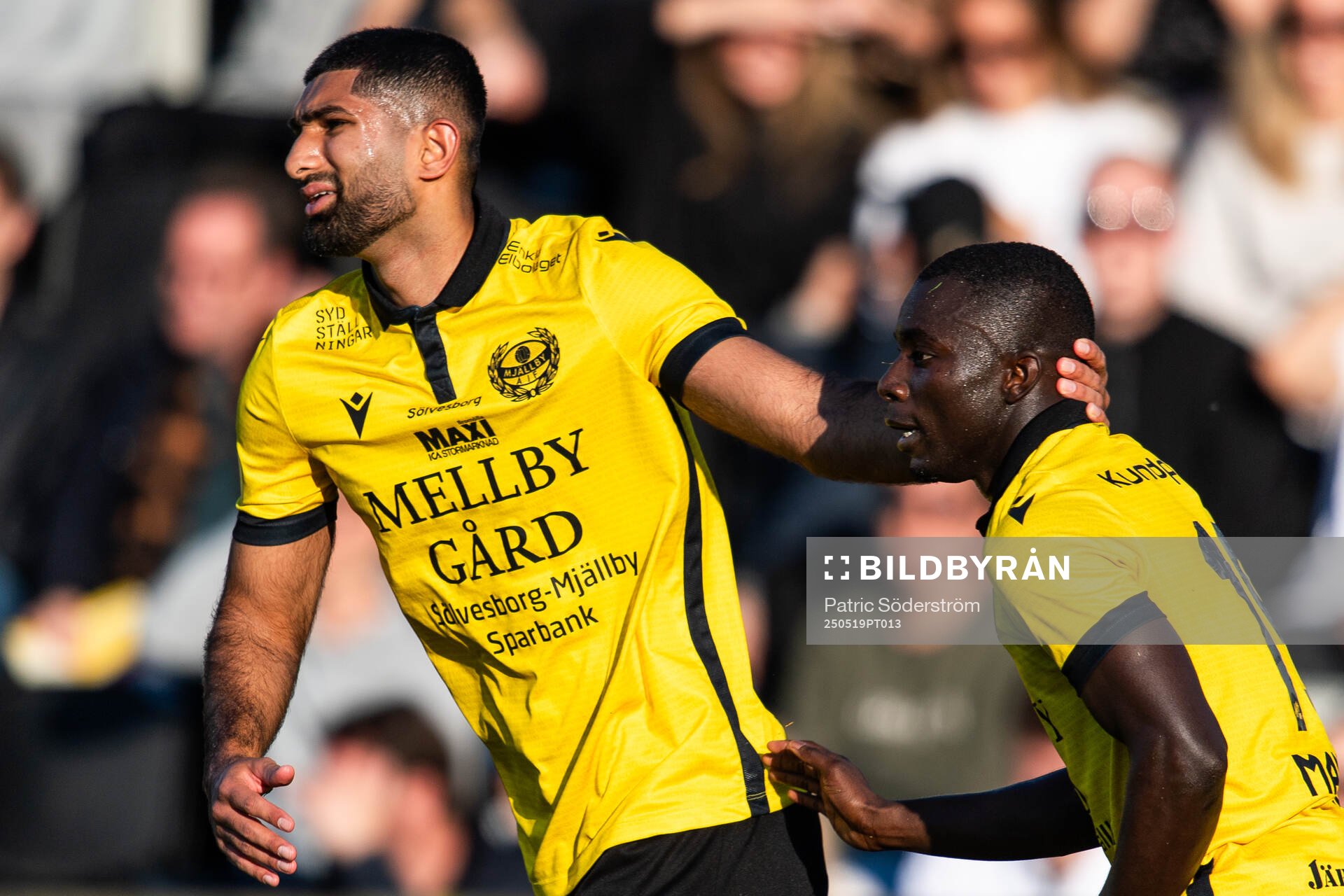Mjällbys Abdullah Iqbal och Abdoulie Manneh jublar efter 1-0 under fotbollsmatchen i Allsvenskan mellan Mjällby och Brommapojkarna den 19 maj 2025 i Hällevik.