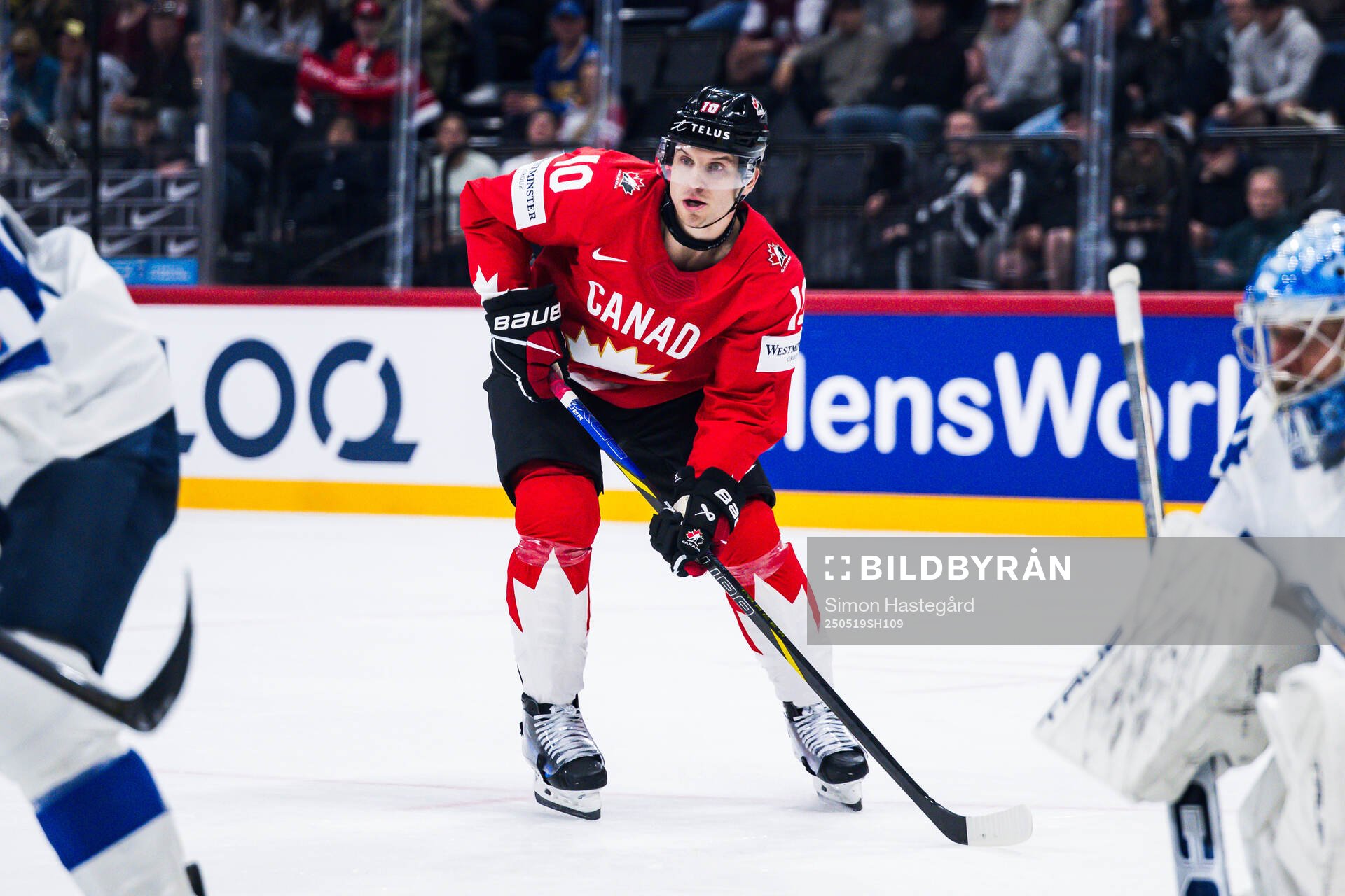 Brayden Schenn