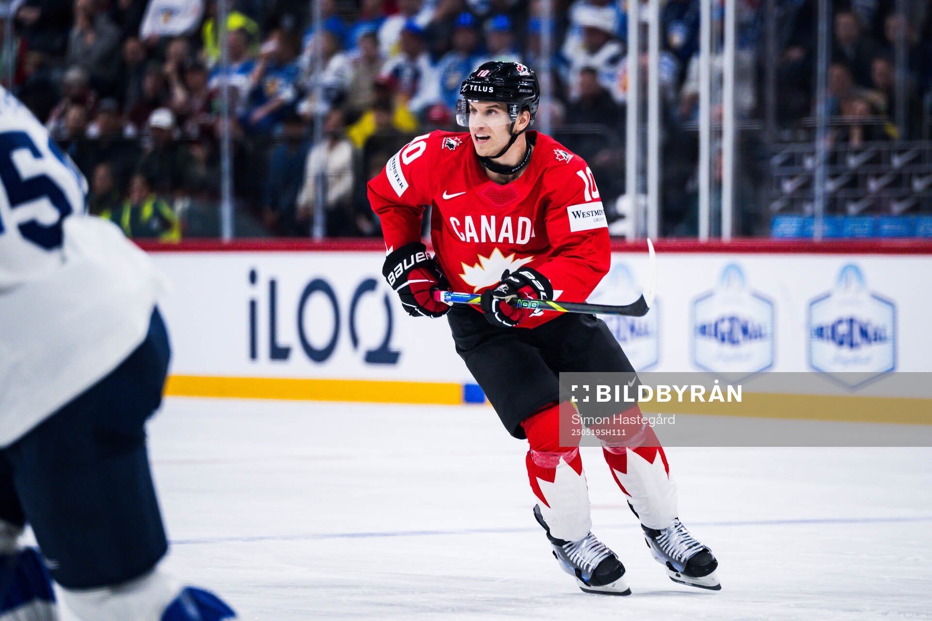 Brayden Schenn