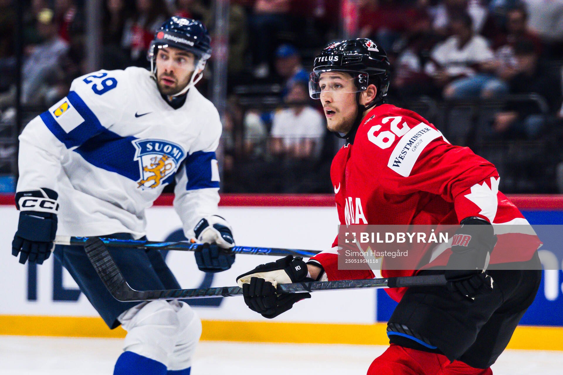 Brandon Montour of Canada