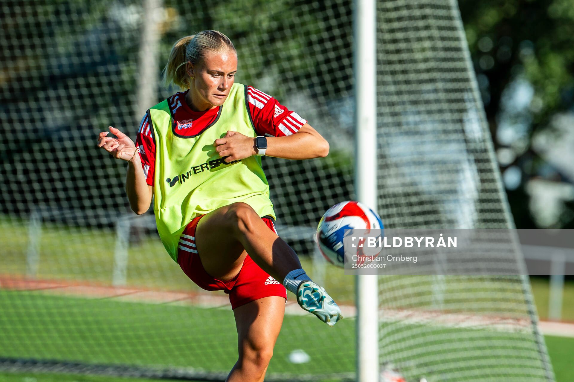 Elin Engbe