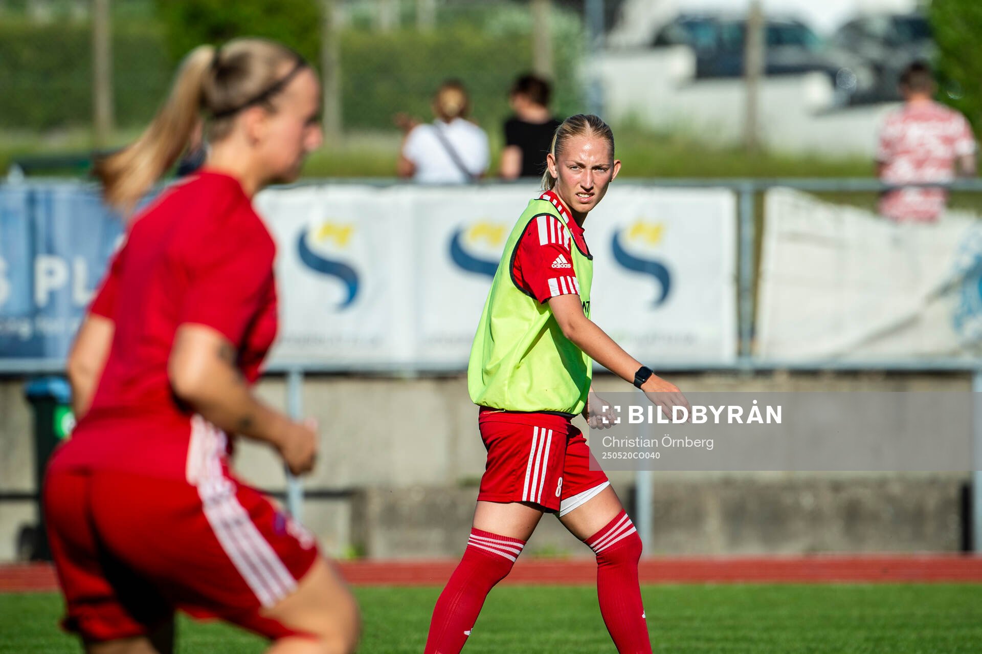 Linn Nilsson