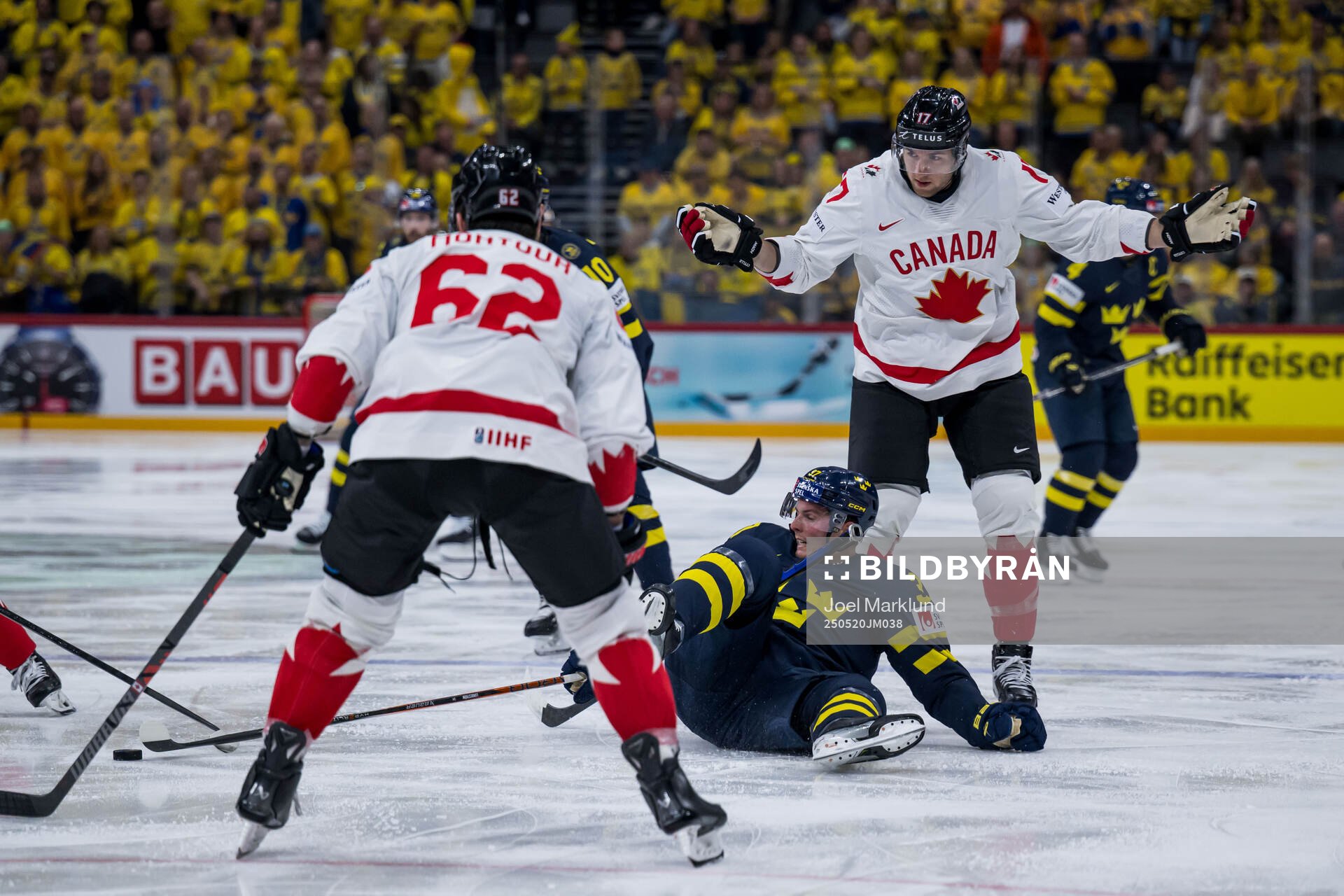 Isac Lundeström of Sweden and Will Cuylle of Canada