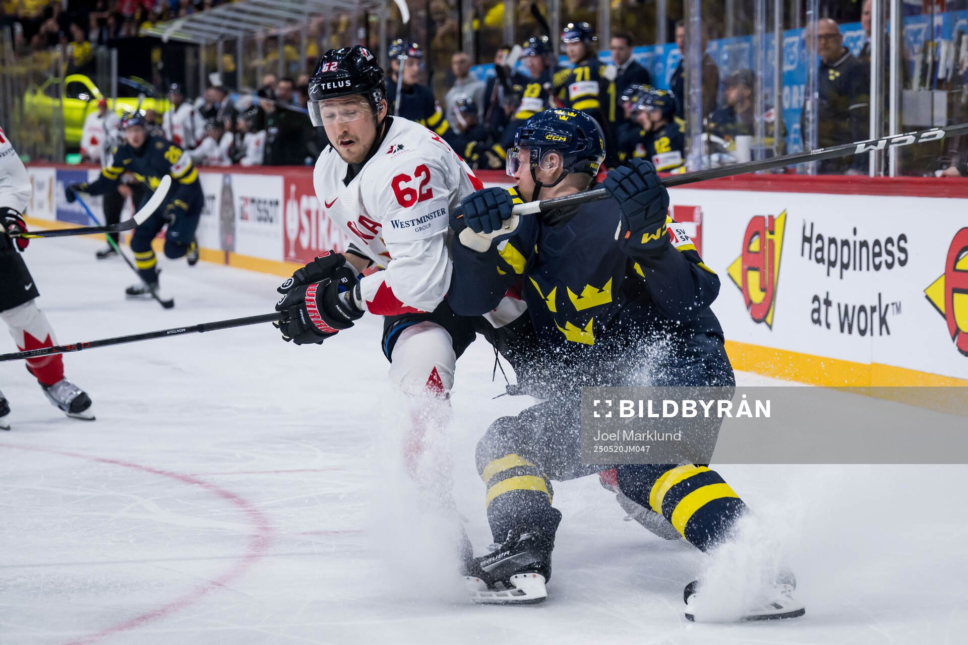 Brandon Montour of Canada and Emil Heineman of Sweden