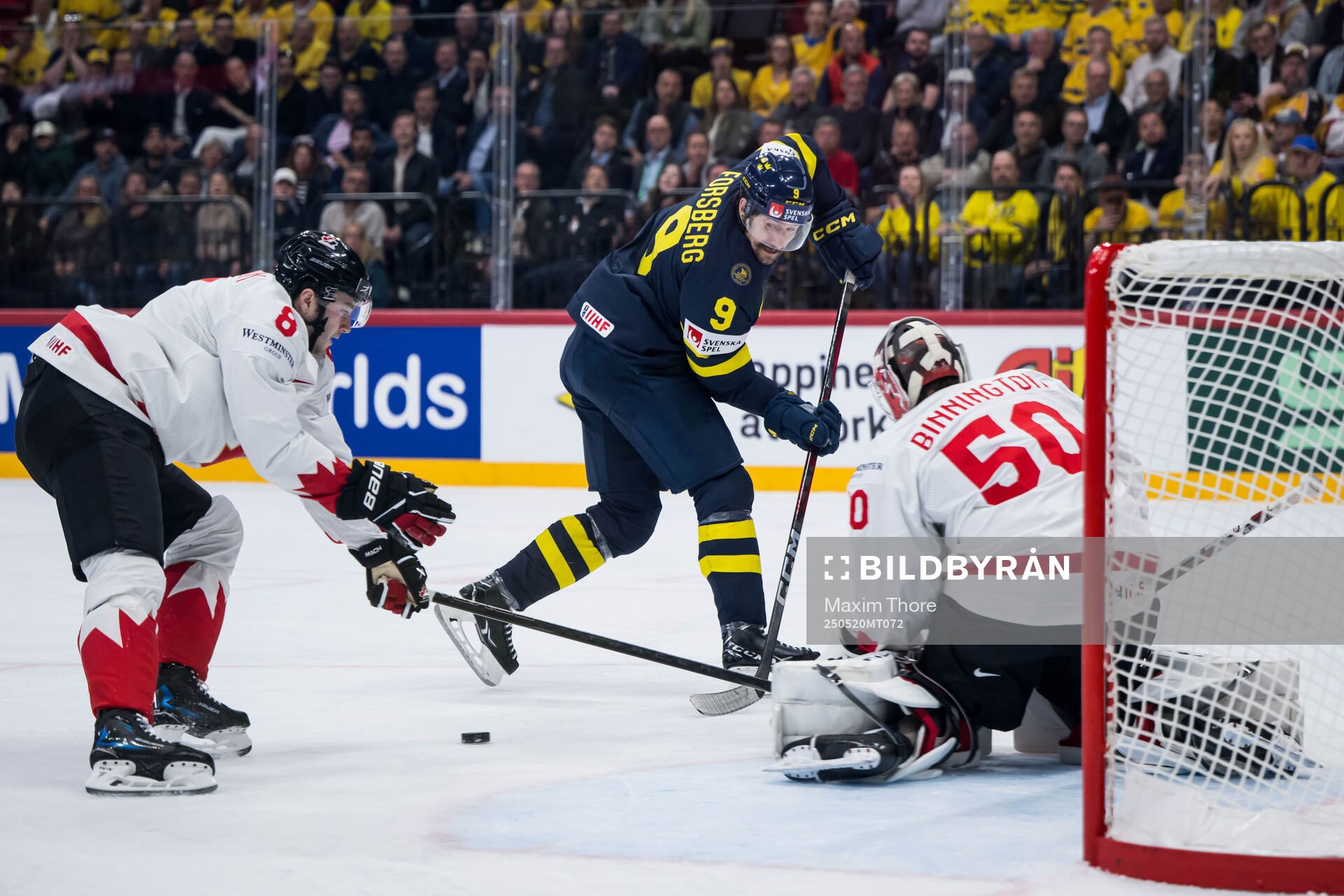 Filip Forsberg of Sweden against Noah Dobson and goaltender