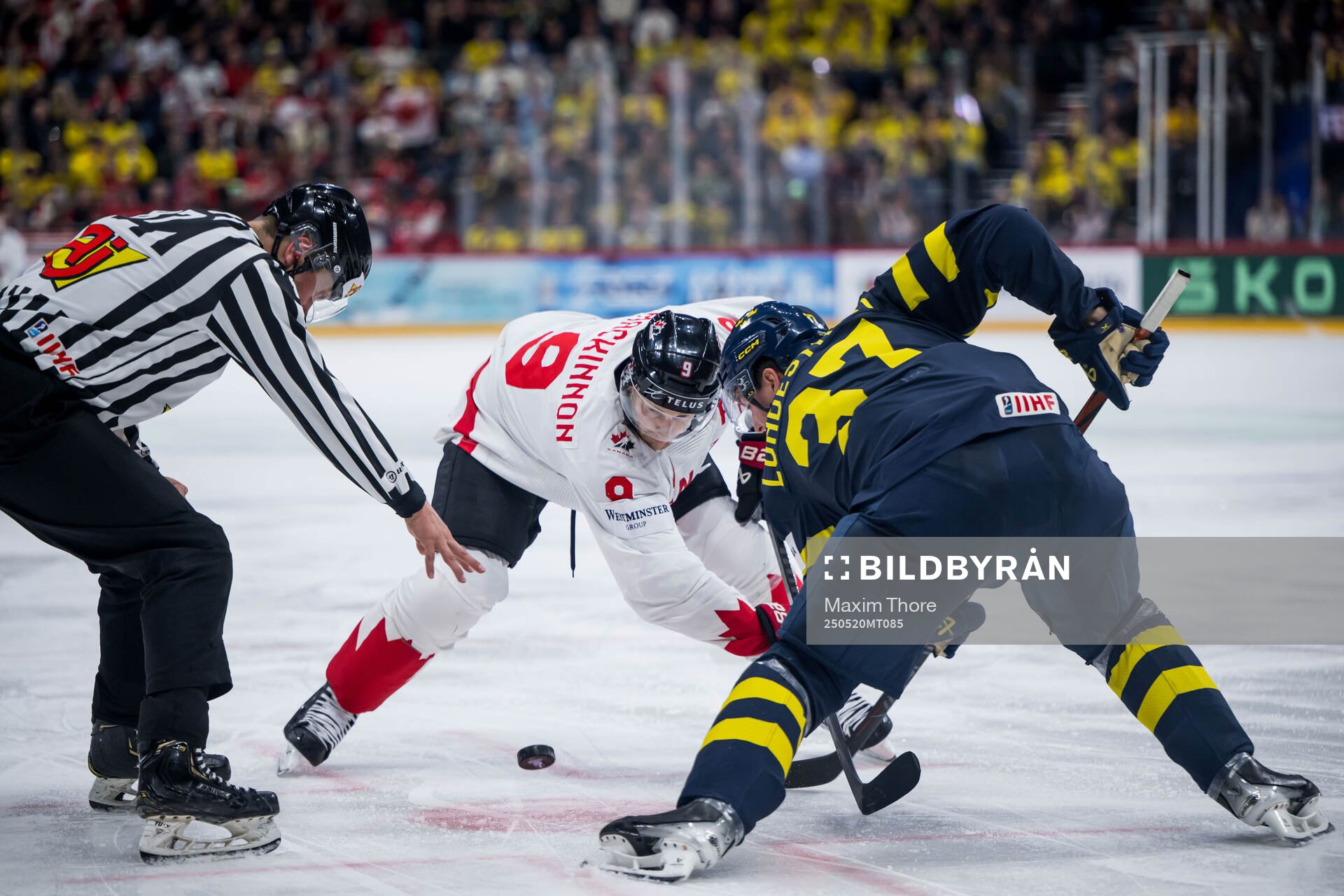 Nathan MacKinnon of Canada and Isac Lundeström of Sweden