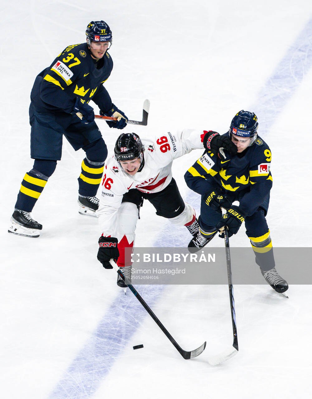 Macklin Celebrini of Canada against Isac Lundeström and