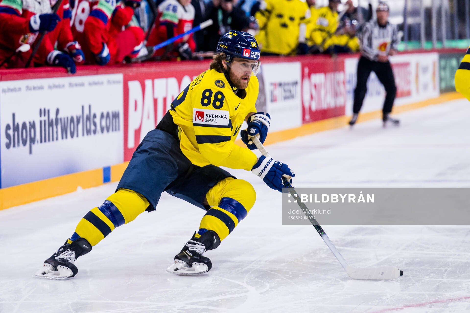 William Nylander of Sweden