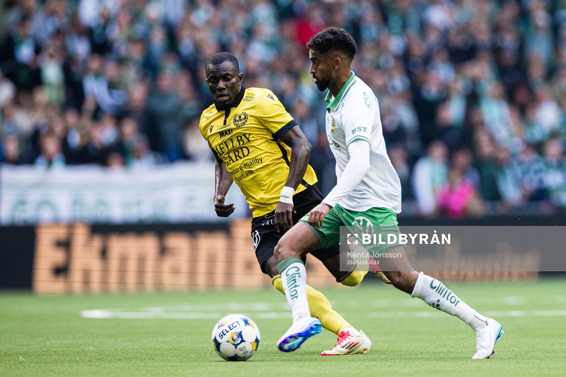 Mjällbys Uba Charles Nwokoma och Hammarbys Tesfaldet Tekie under fotbollsmatchen i Allsvenskan mellan Hammarby och Mjällby den 22 maj 2025 i Stockholm.