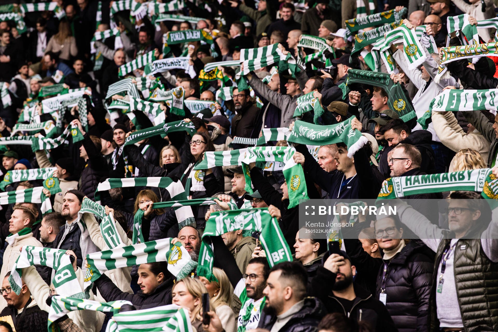 Hammarbys supportrar