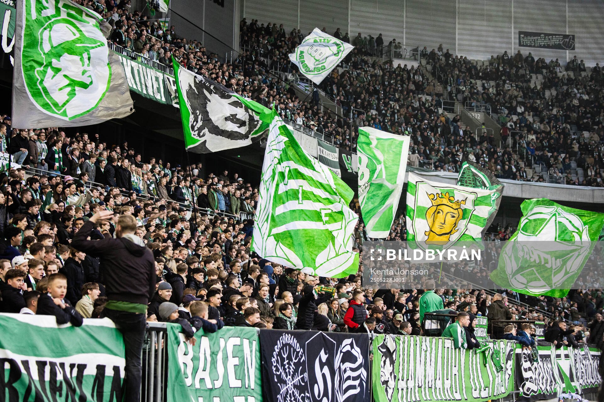 Hammarbys supportrar