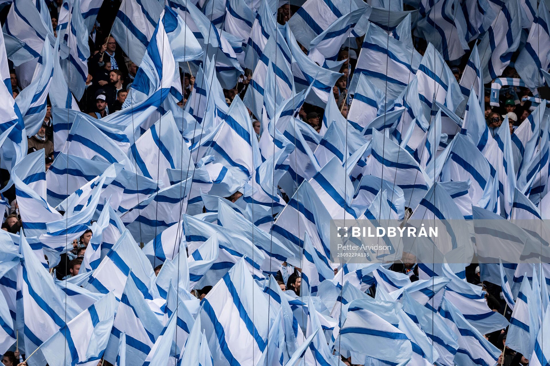 Malmö FFs supportrar