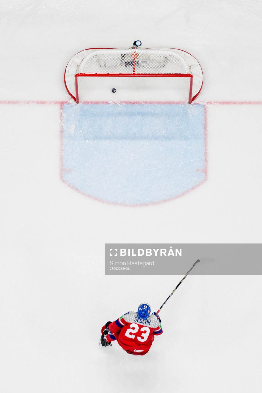 Filip Forsberg of Sweden, not pictured, scores the 5-2