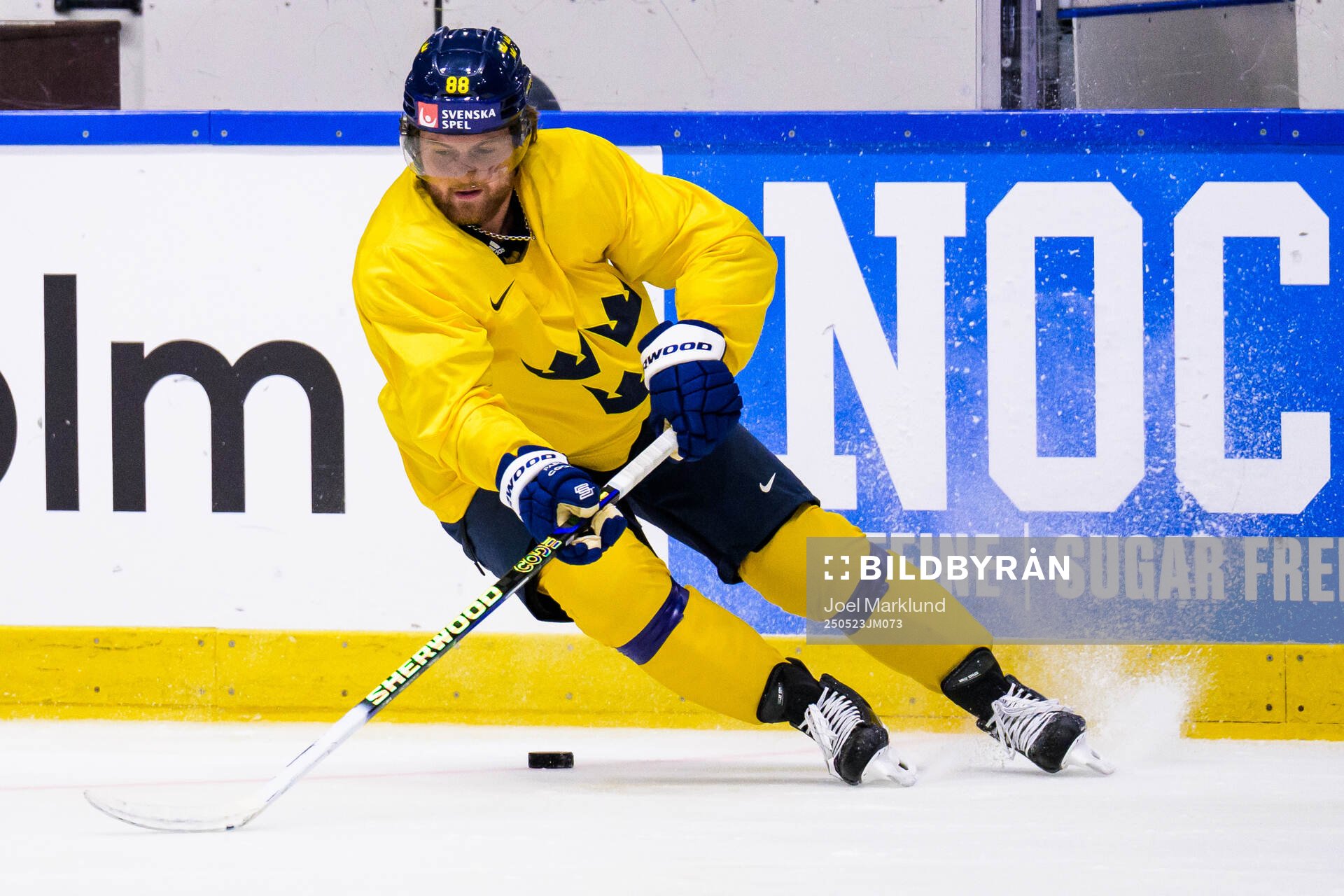 William Nylander of Sweden at a practice session