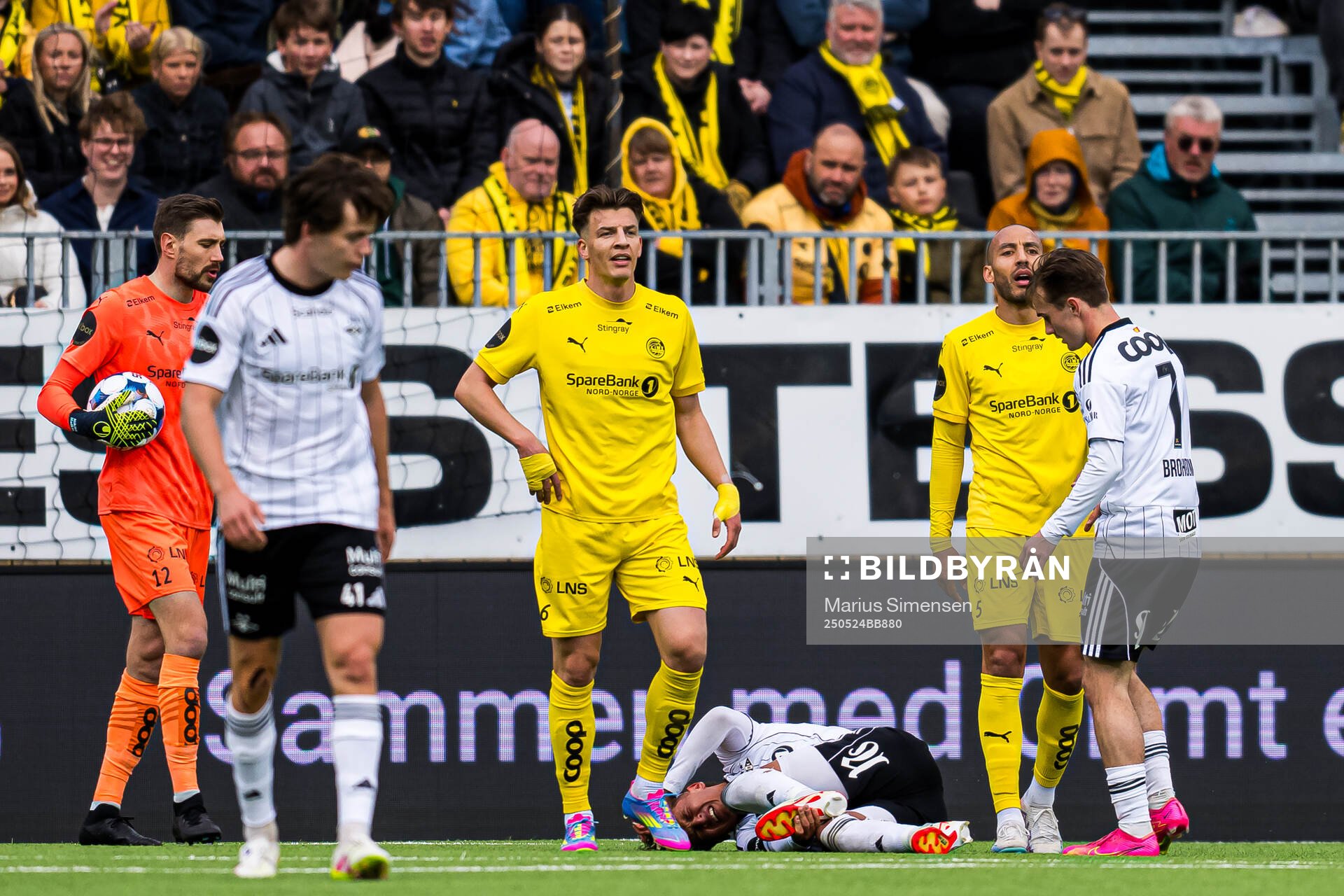 Adrian Nilsen Pereira of Rosenborg in pain during the Eliteserien match between Bodø/Glimt and Rosenborg on May 24, 2025 in Bodø.