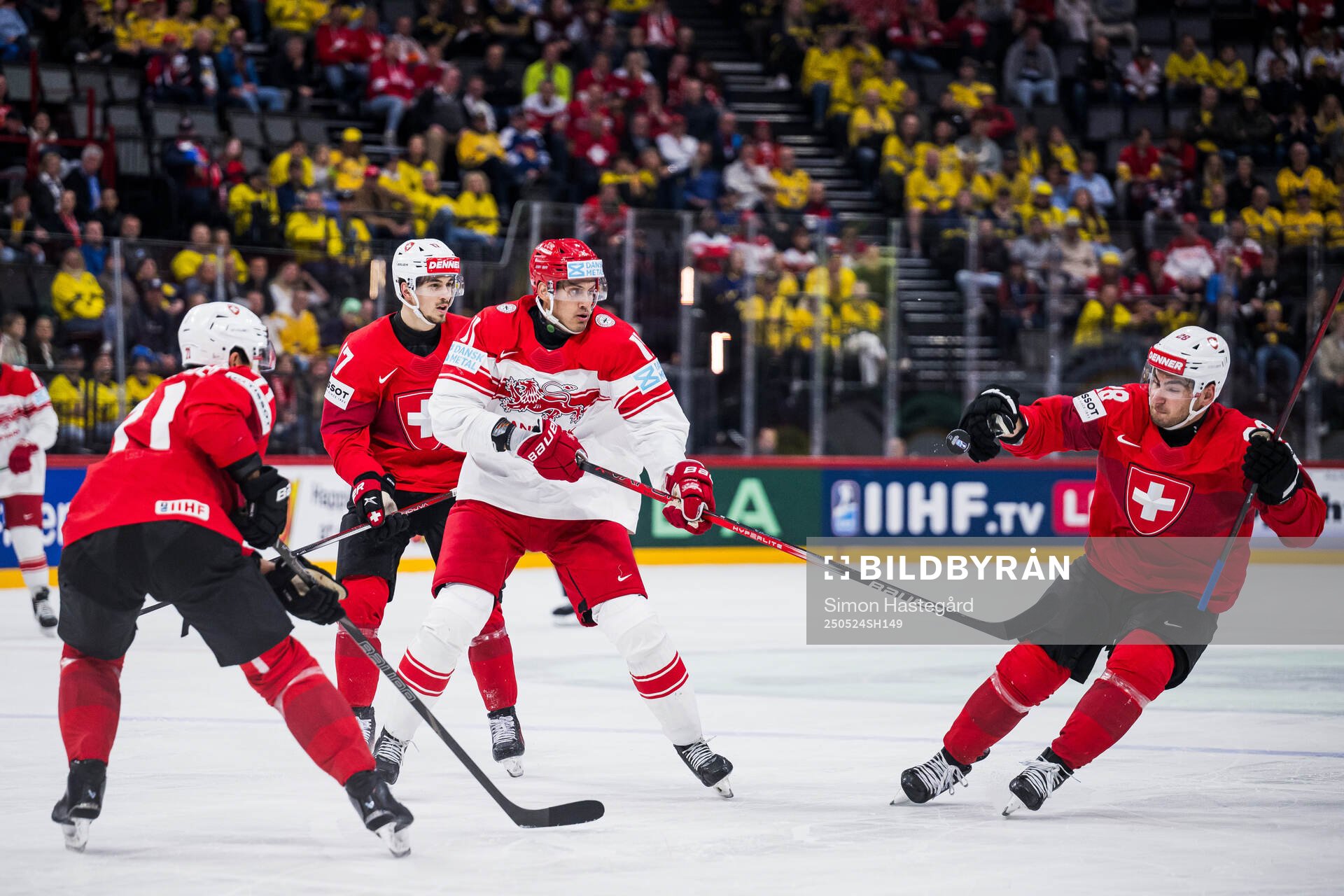Alexander True of Denmark and Timo Meier of Switzerland