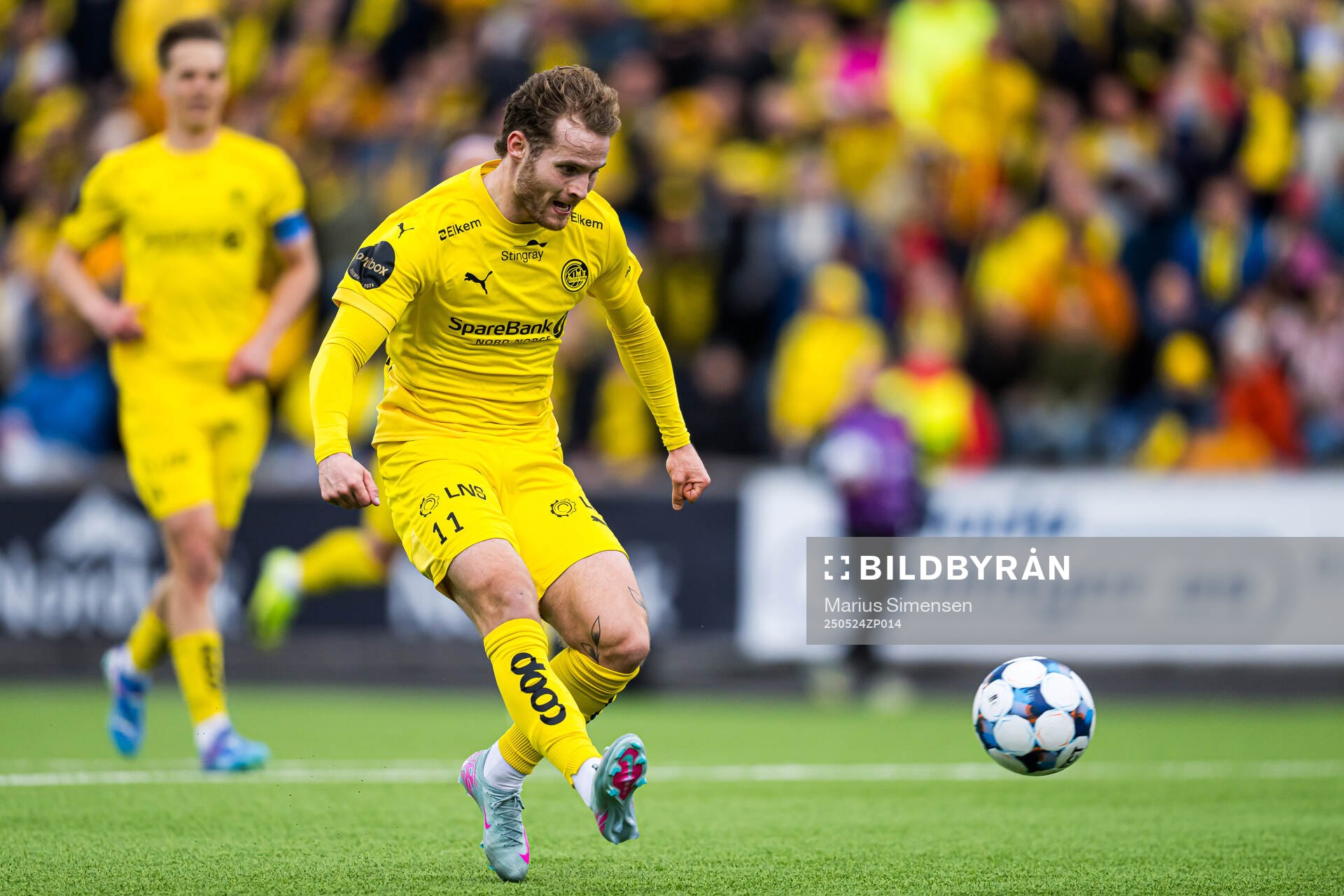 Ole Didrik Blomberg of Bodø/Glimt scores the 3-0 goal during the Eliteserien match between Bodø/Glimt and Rosenborg on May 24, 2025 in Bodø.