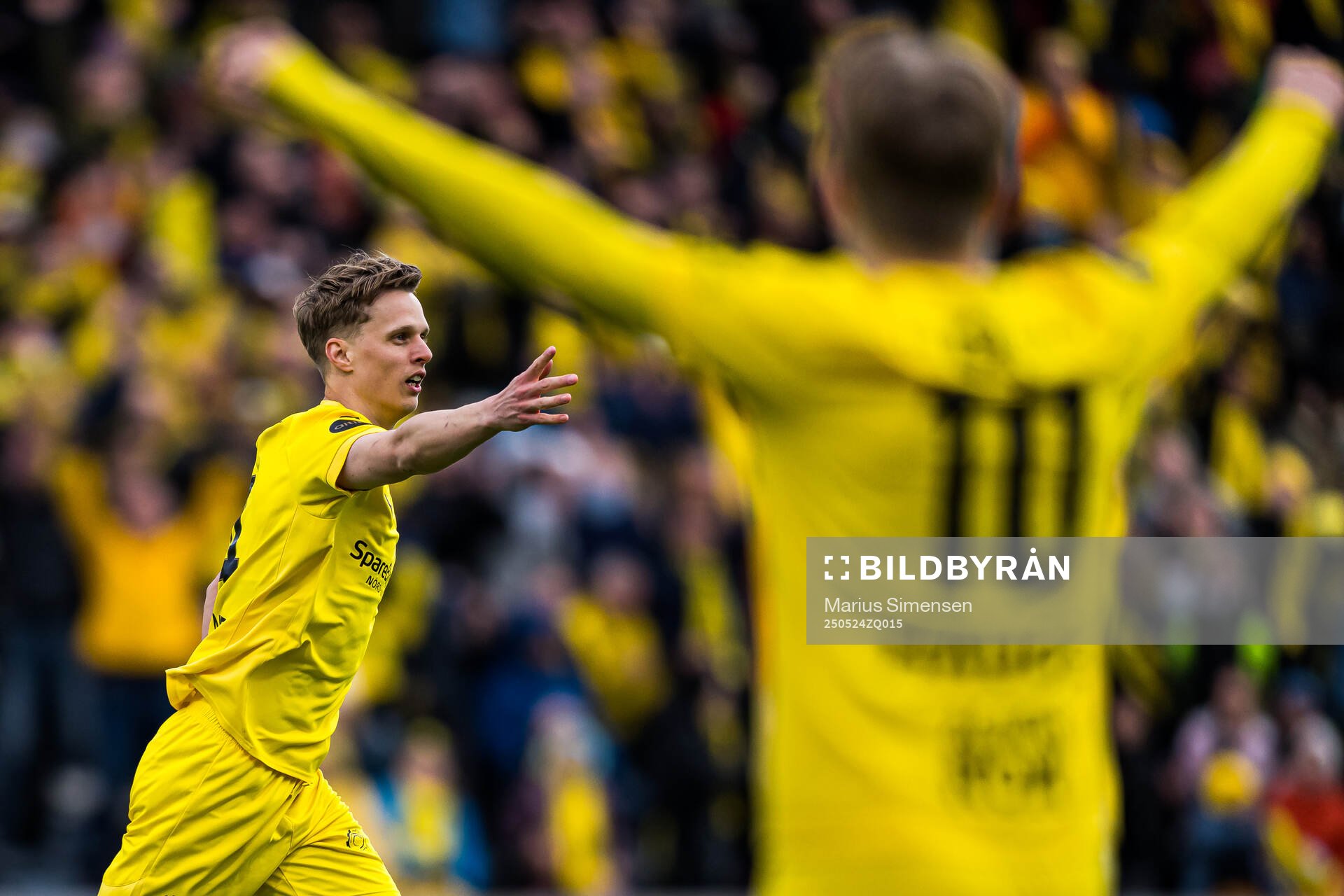 Ulrik Saltnes of Bodø/Glimt celebrates after scoring the 4-0 goal during the Eliteserien match between Bodø/Glimt and Rosenborg on May 24, 2025 in Bodø.