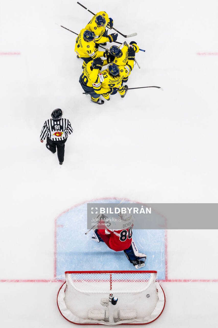 goaltender Frederik Dichow of Denmark looks dejected while