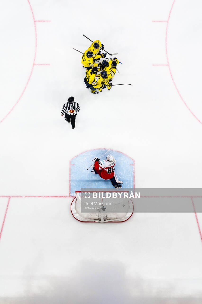Goaltender Frederik Dichow of Denmark looks dejected while