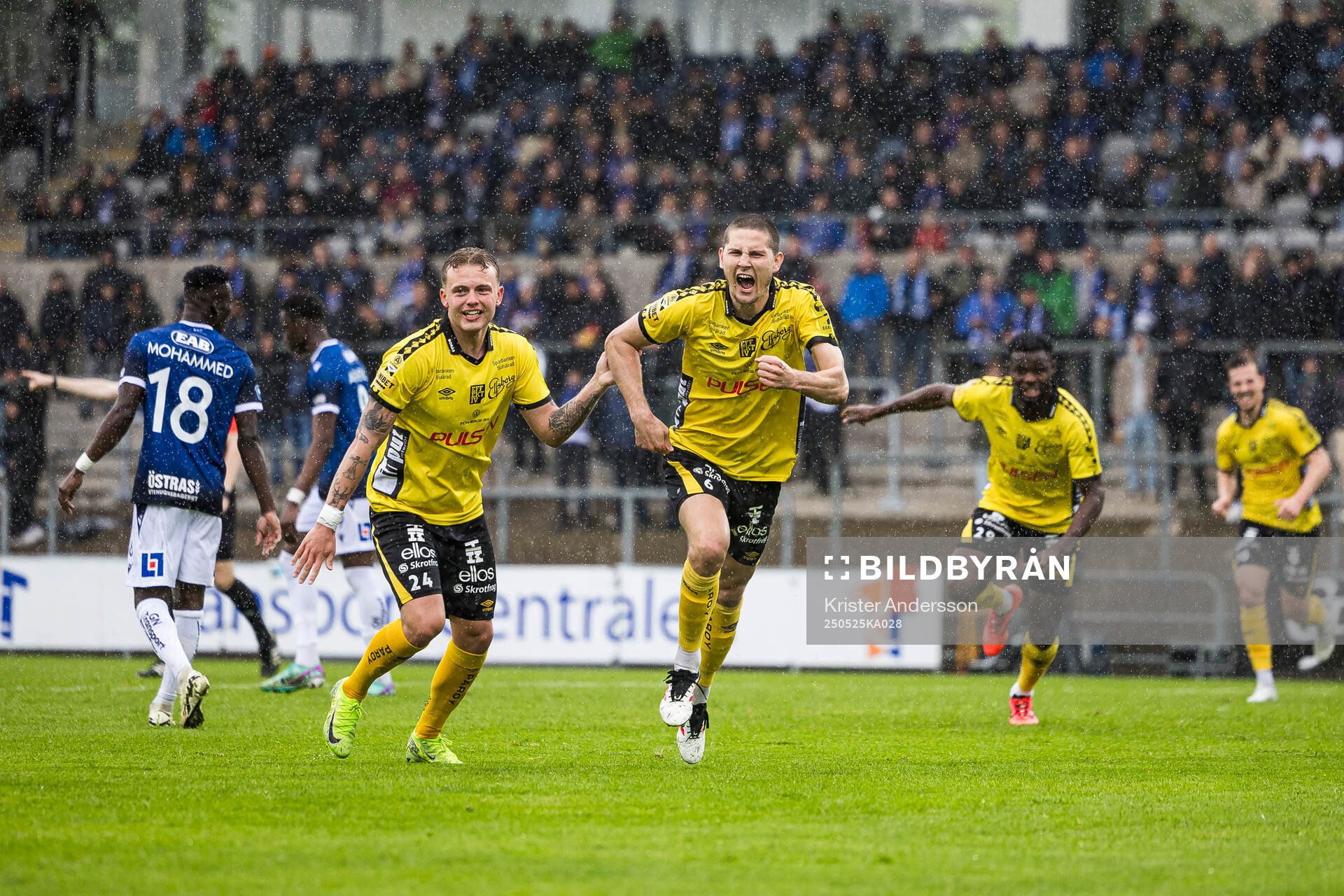 Elfsborgs Rasmus Wikström jublar efter 1-3 under fotbollsmatchen i Allsvenskan mellan Halmstad och Elfsborg den 25 maj 2025 i Halmstad.