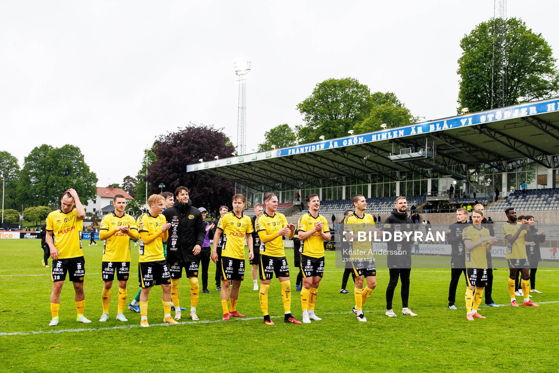 Elfsborgs spelare jublar efter fotbollsmatchen i Allsvenskan mellan Halmstad och Elfsborg den 25 maj 2025 i Halmstad. 
