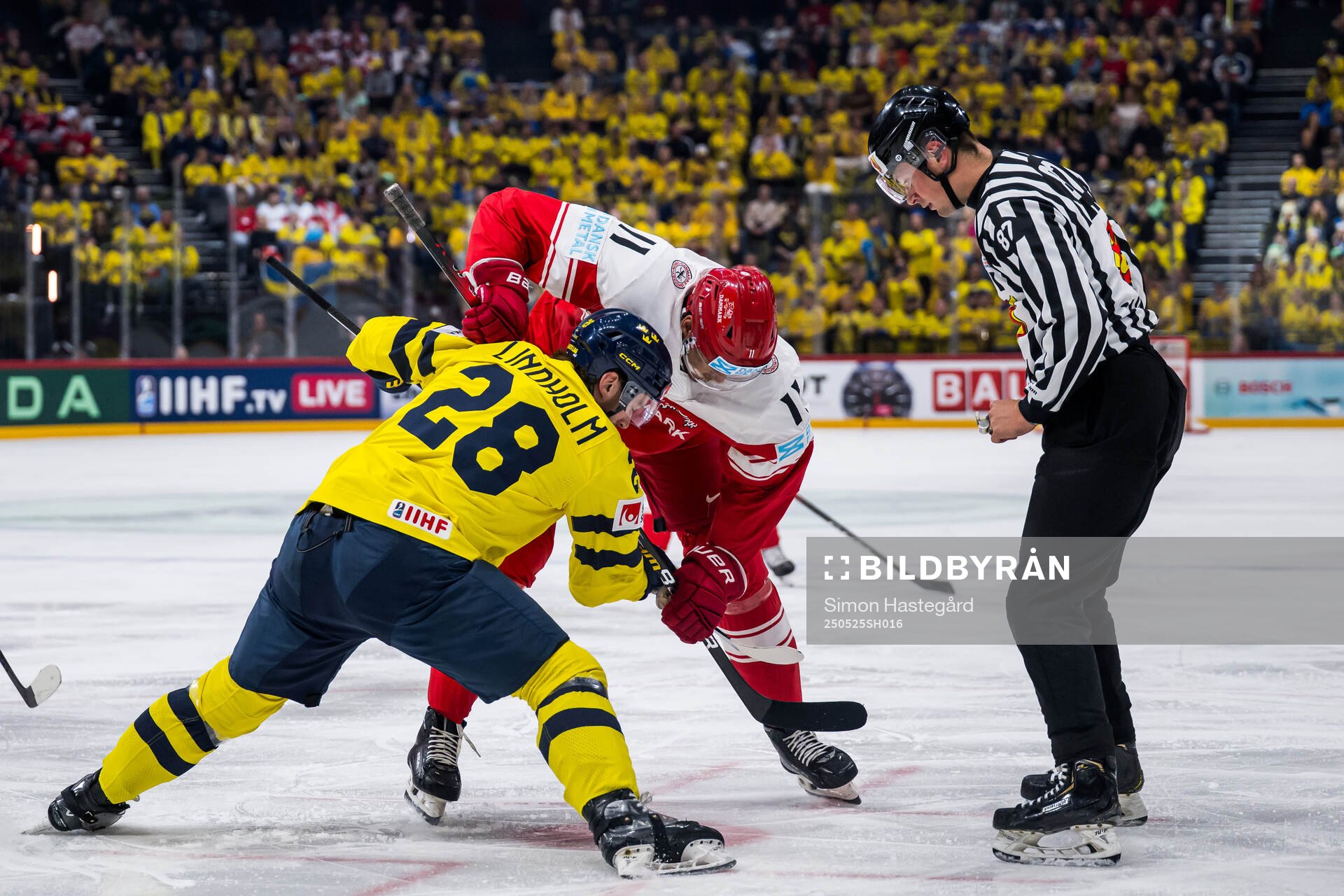 Elias Lindholm of Sweden and Alexander True of Denmark