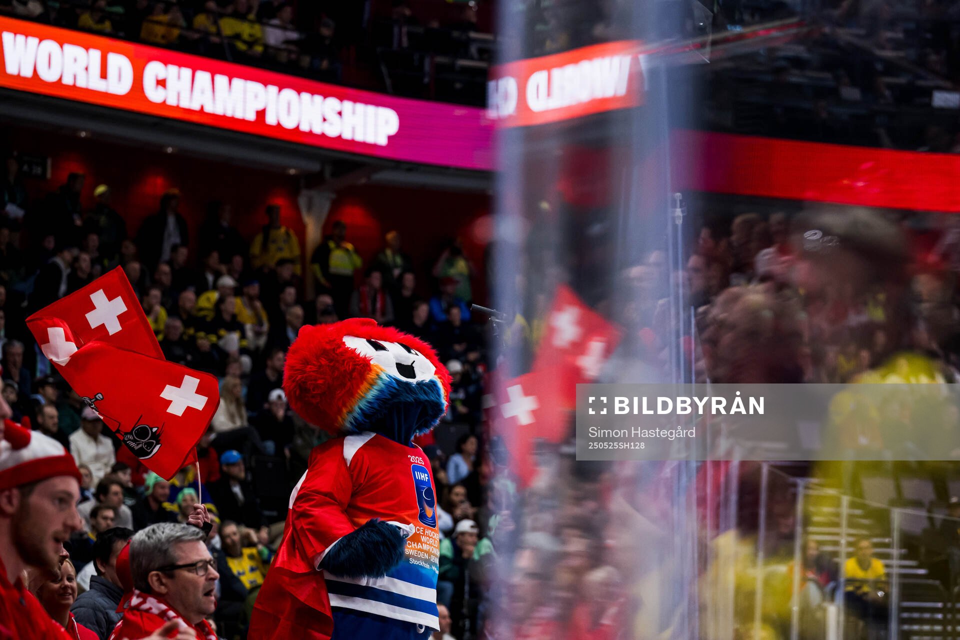 The official mascot Beaty in the stands