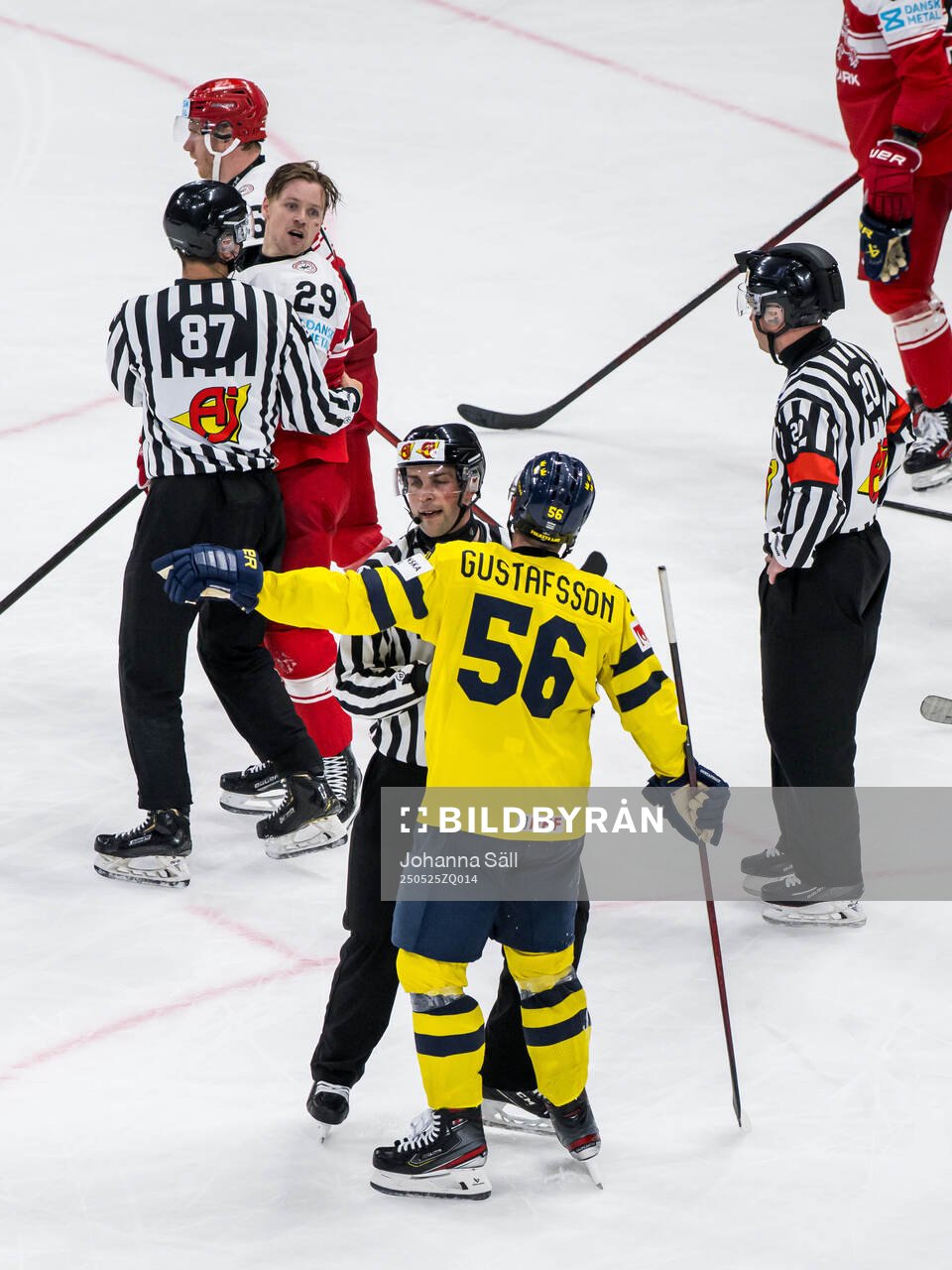 Mikkel Aagaard of Denmark and Erik Gustafsson of Sweden