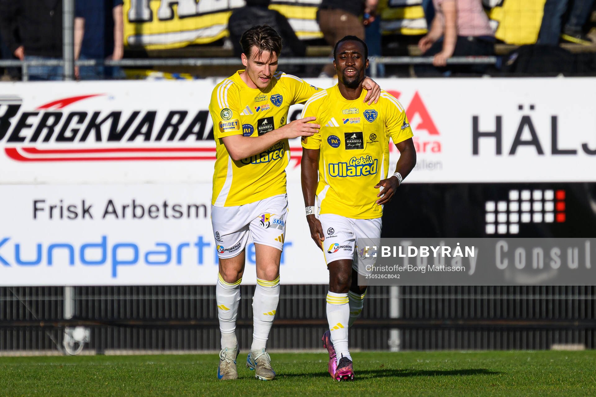 Falkenbergs Oskar Lindberg och Wanbe Godwin Aguda jublar efter 0-1 under fotbollsmatchen i Superettan mellan Landskrona och Falkenberg den 26 maj 2025 i Landskrona.