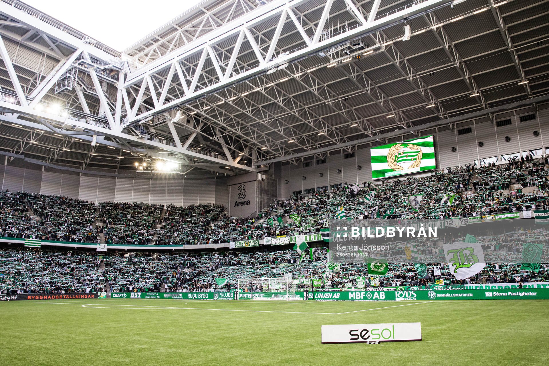 Hammarbys supportrar