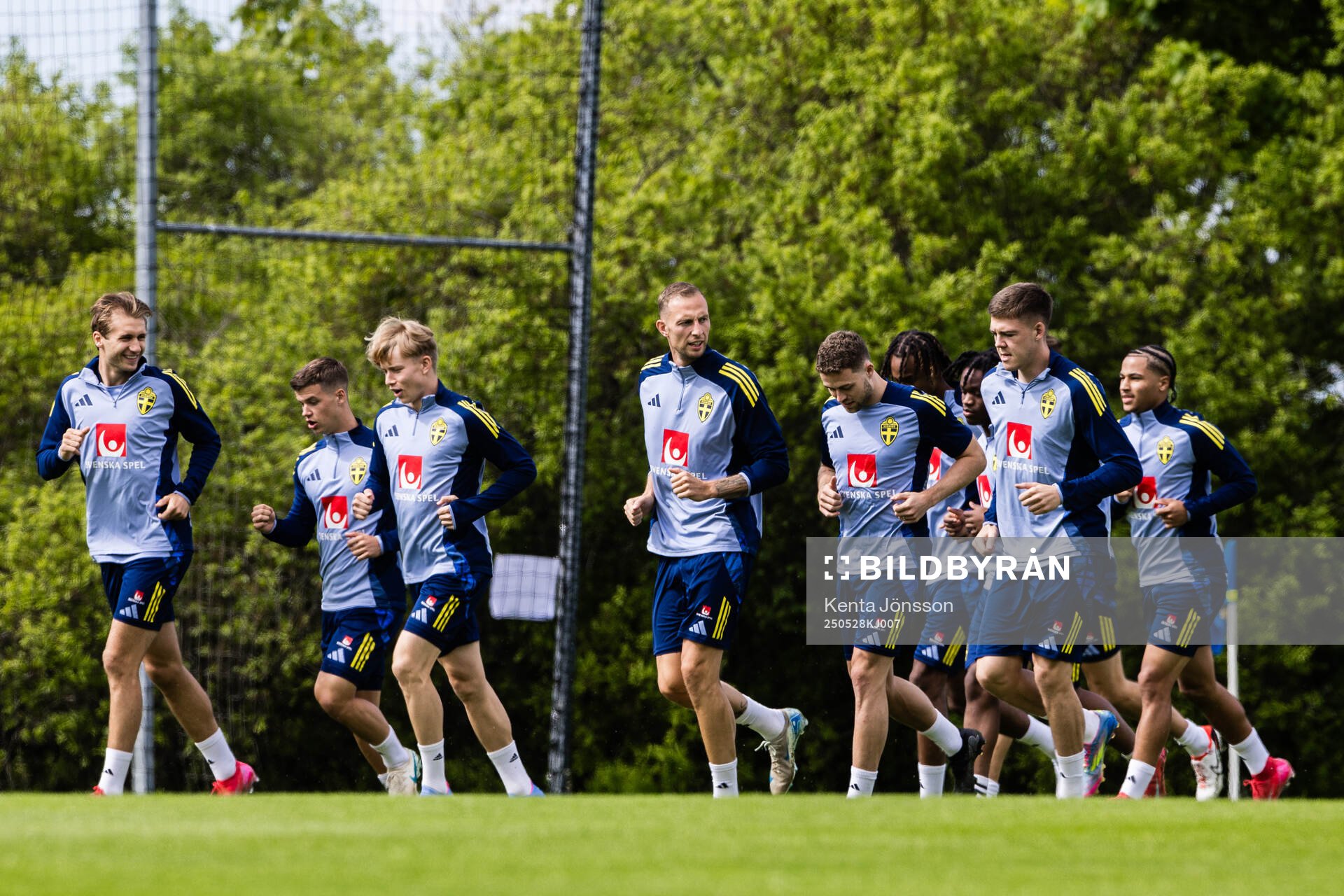 Players of the Swedish men's national football team