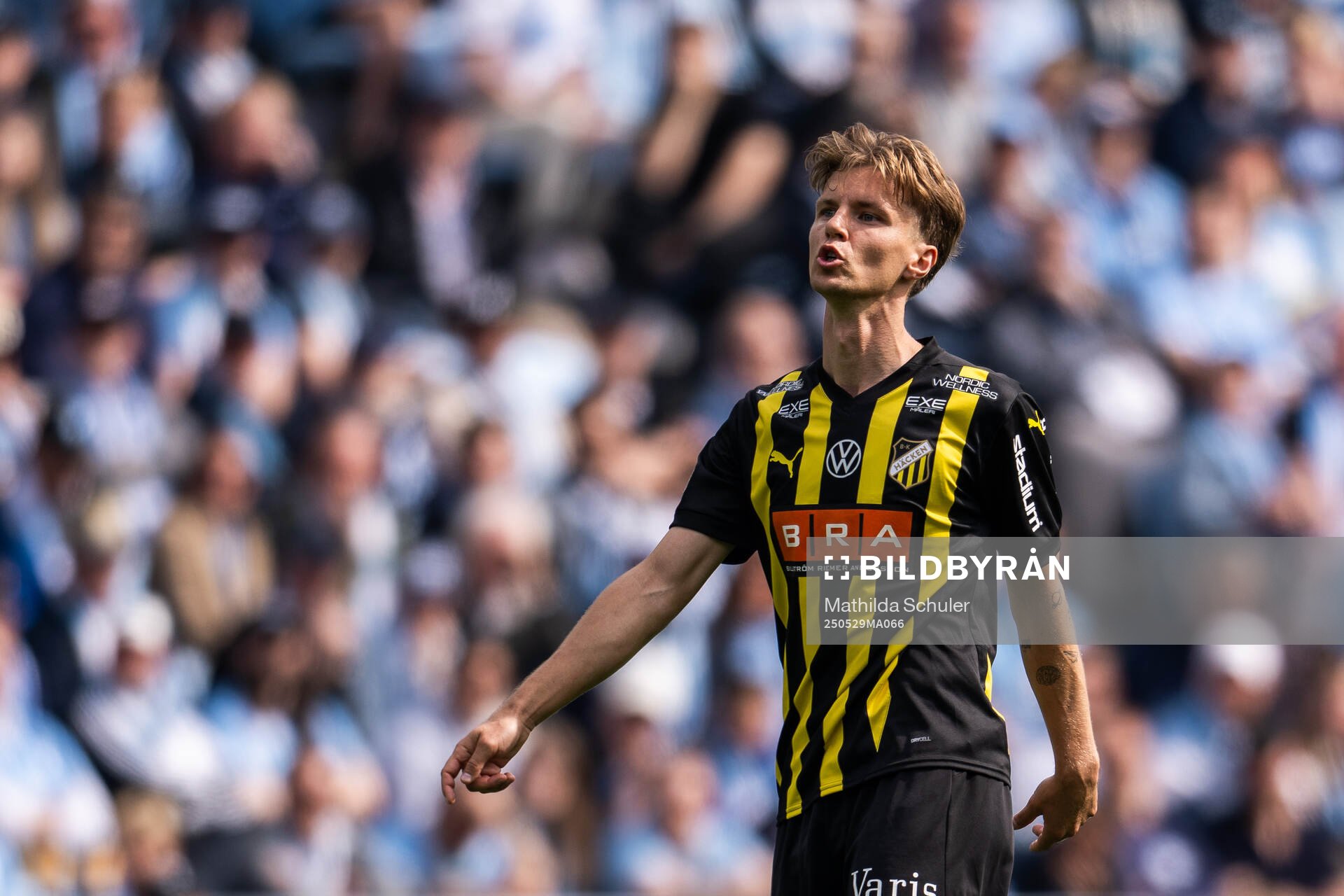 Häckens Samuel Leach Holm deppar