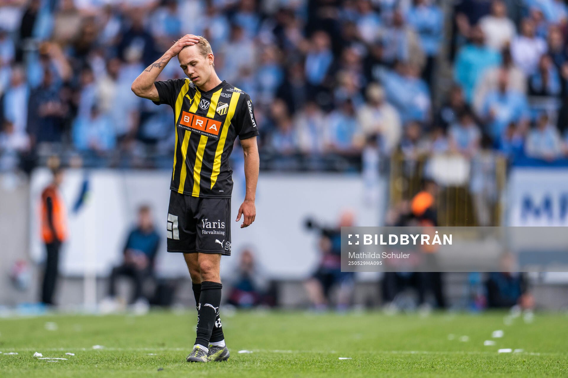 Häckens Pontus Dahbo deppar