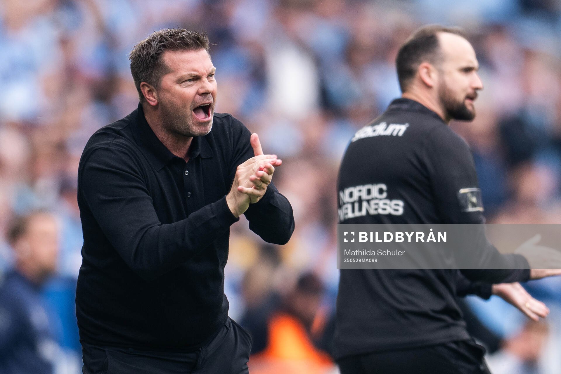 Häckens tränare Jens Gustafsson under finalen i Svenska Cupen mellan Malmö FF och Häcken den 29 maj 2025 i Malmö. 
