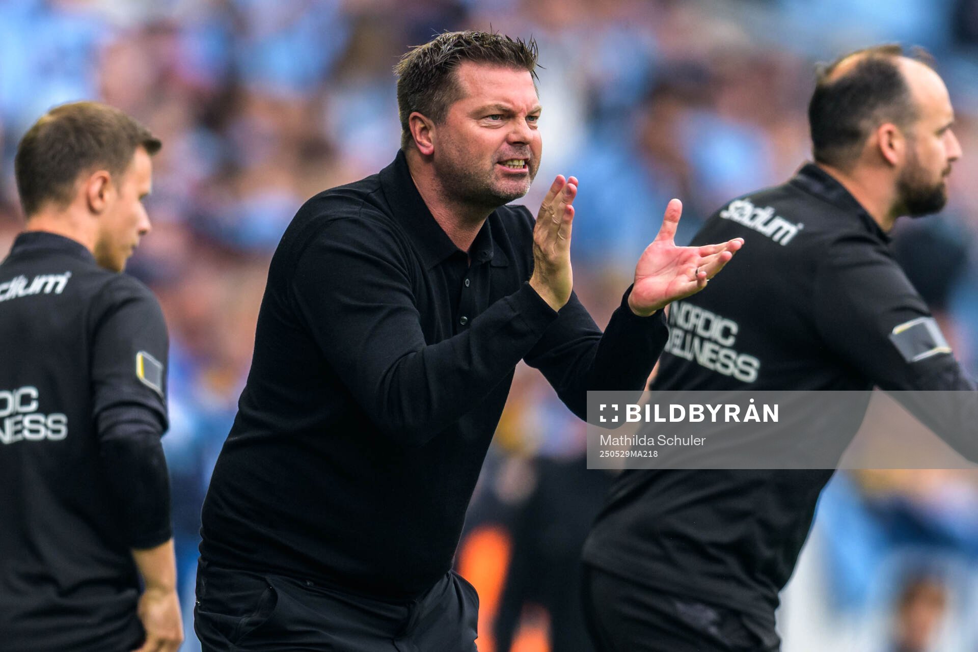 Häckens tränare Jens Gustafsson under finalen i Svenska Cupen mellan Malmö FF och Häcken den 29 maj 2025 i Malmö. 
