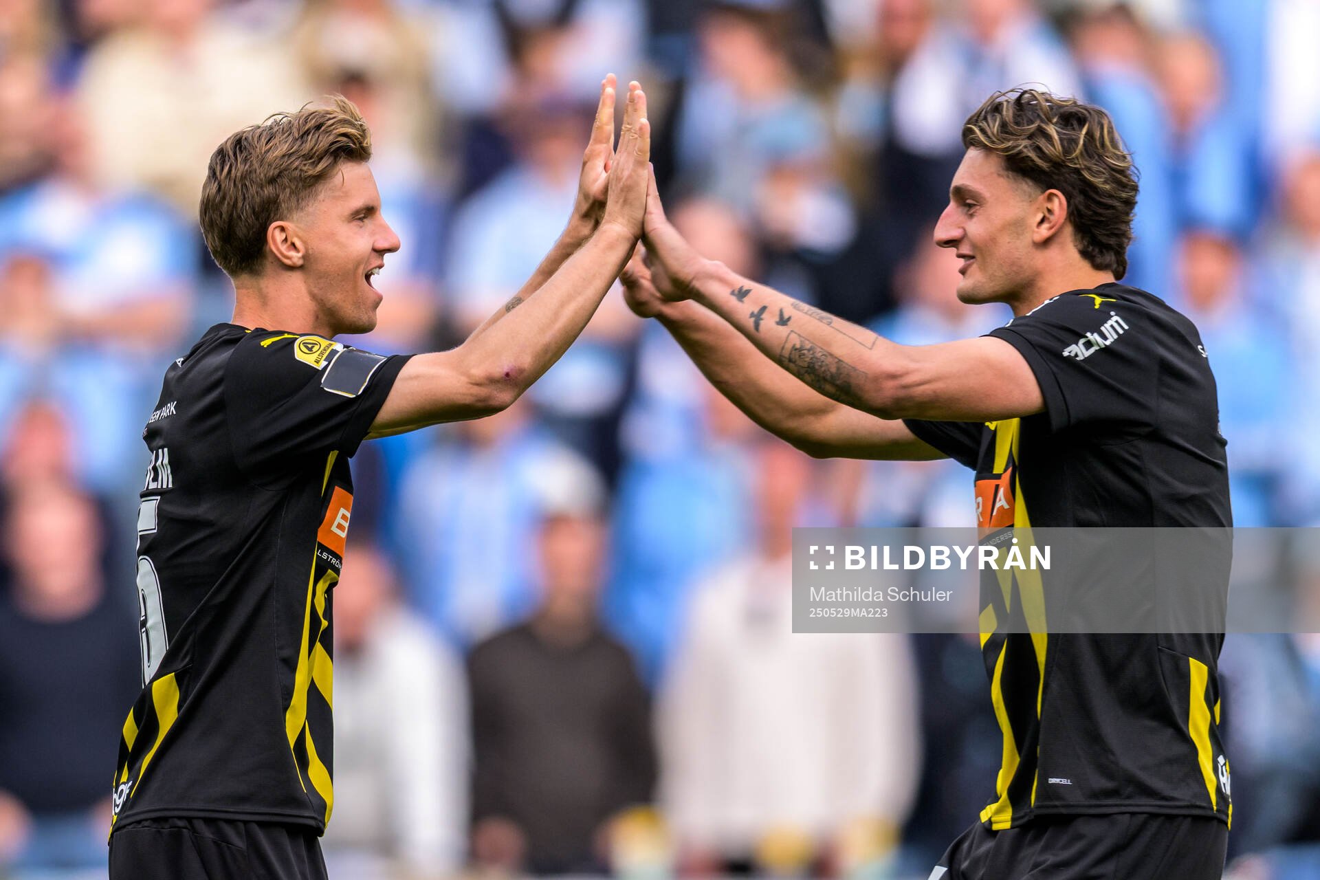 Häckens Samuel Leach Holm och Silas Andersen jublar under finalen i Svenska Cupen mellan Malmö FF och Häcken den 29 maj 2025 i Malmö.