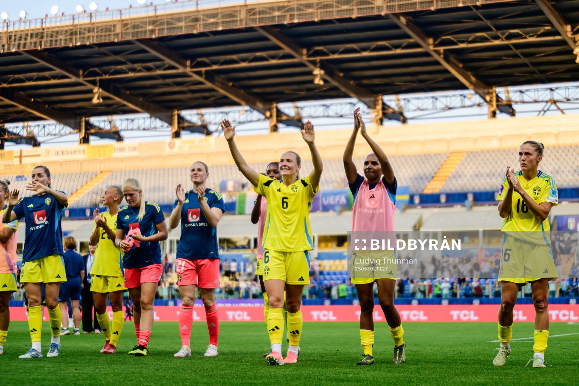 Players of Sweden