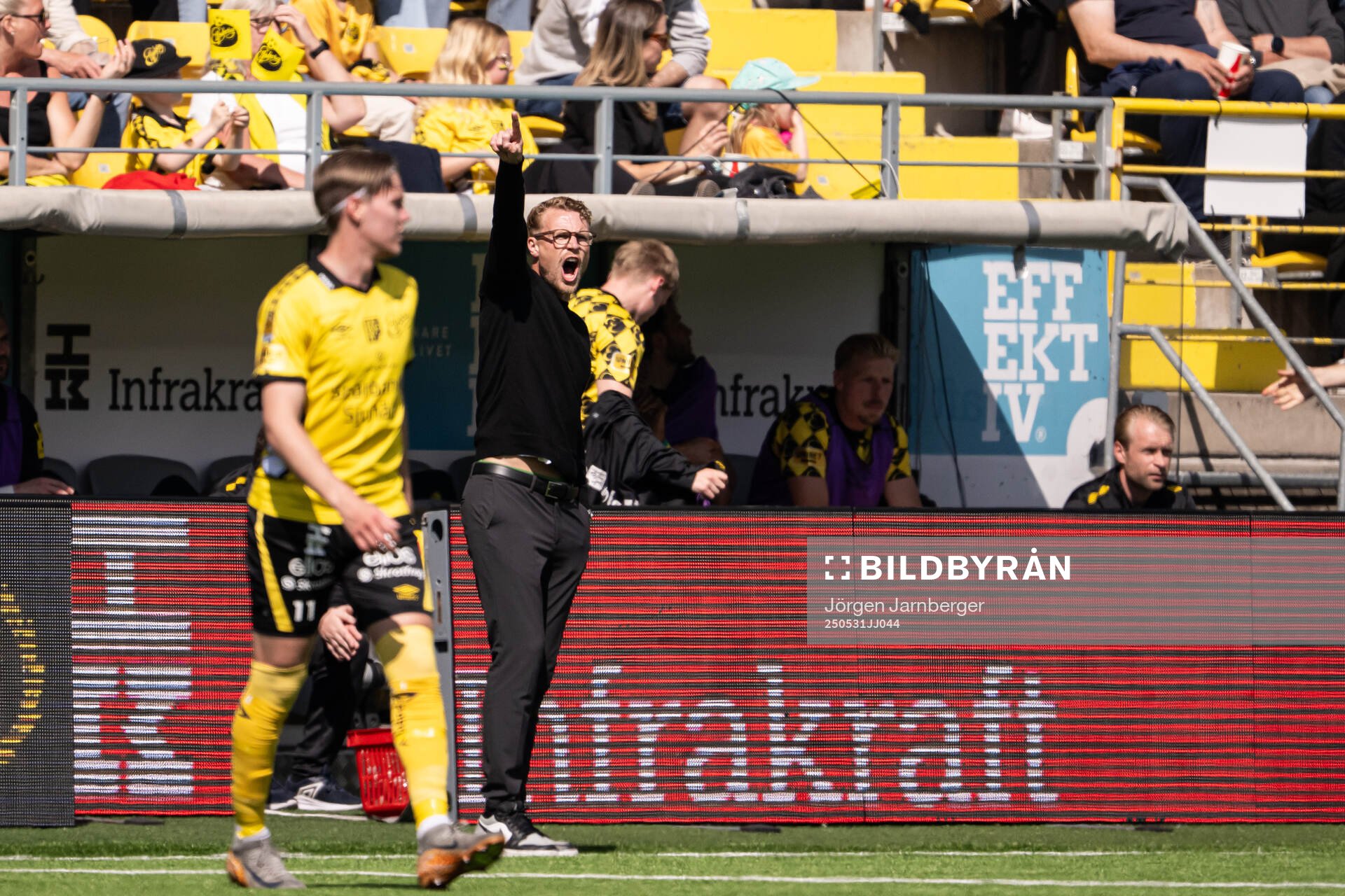 Elfsborgs tränare Oscar Hiljemark under fotbollsmatchen i Allsvenskan mellan Elfsborg och Hammarby den 31 maj 2025 i Borås. 