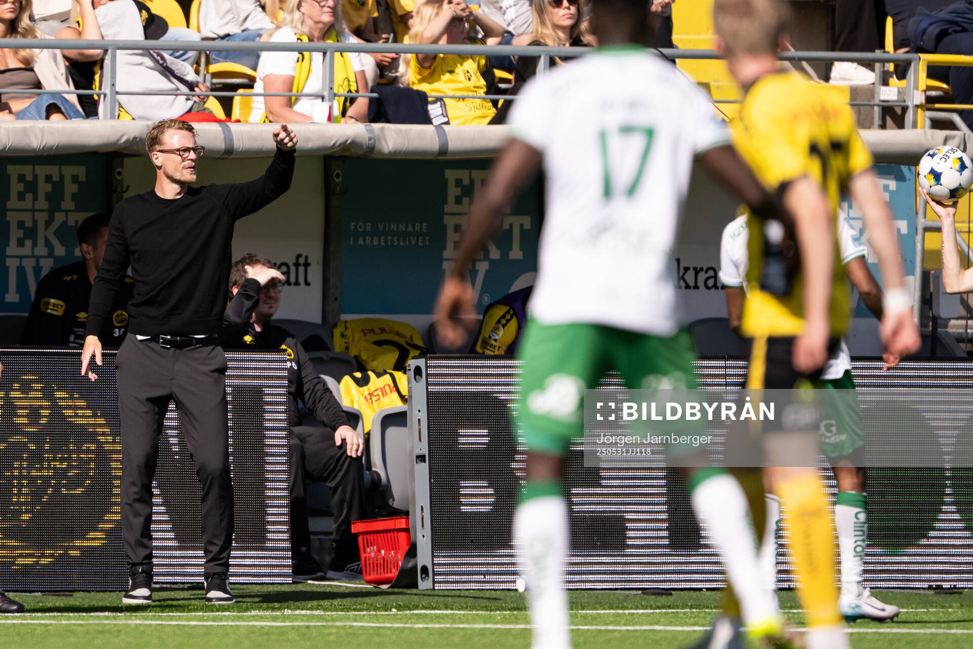 Elfsborgs tränare Oscar Hiljemark