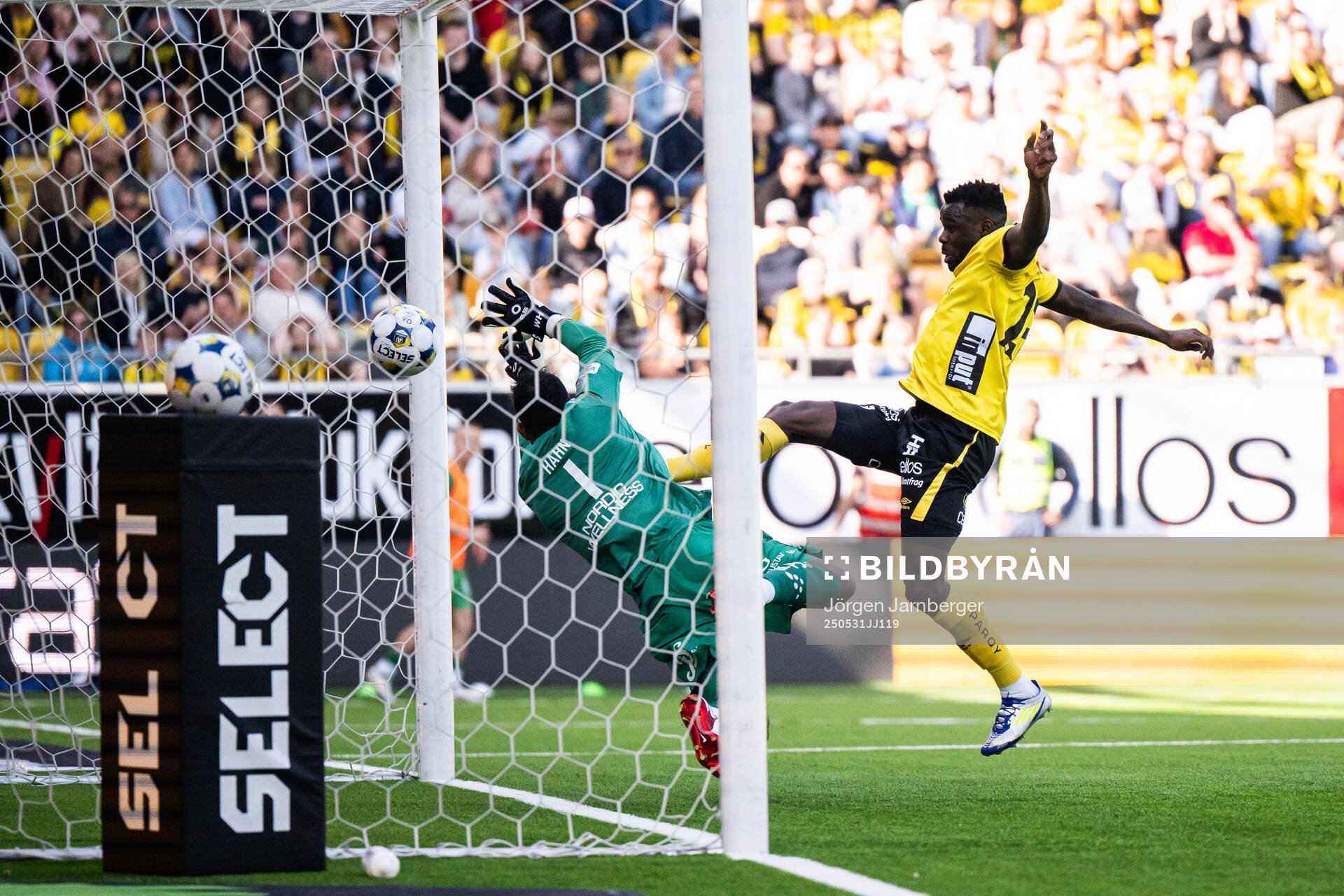 Elfsborgs Ibrahim Buhari gör mål som blev bortdömt under fotbollsmatchen i Allsvenskan mellan Elfsborg och Hammarby den 31 maj 2025 i Borås.