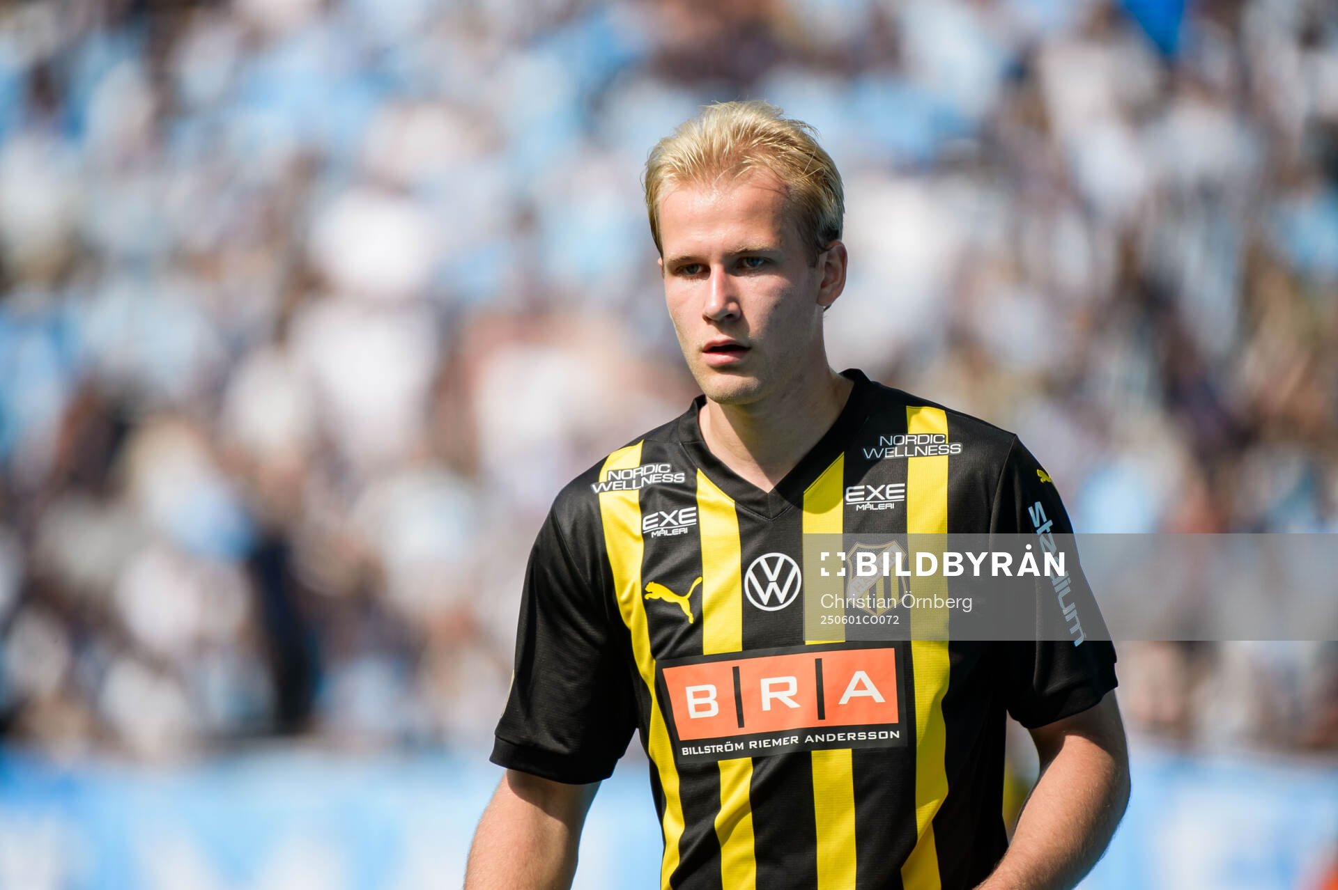 Häckens Harry Hilvenius