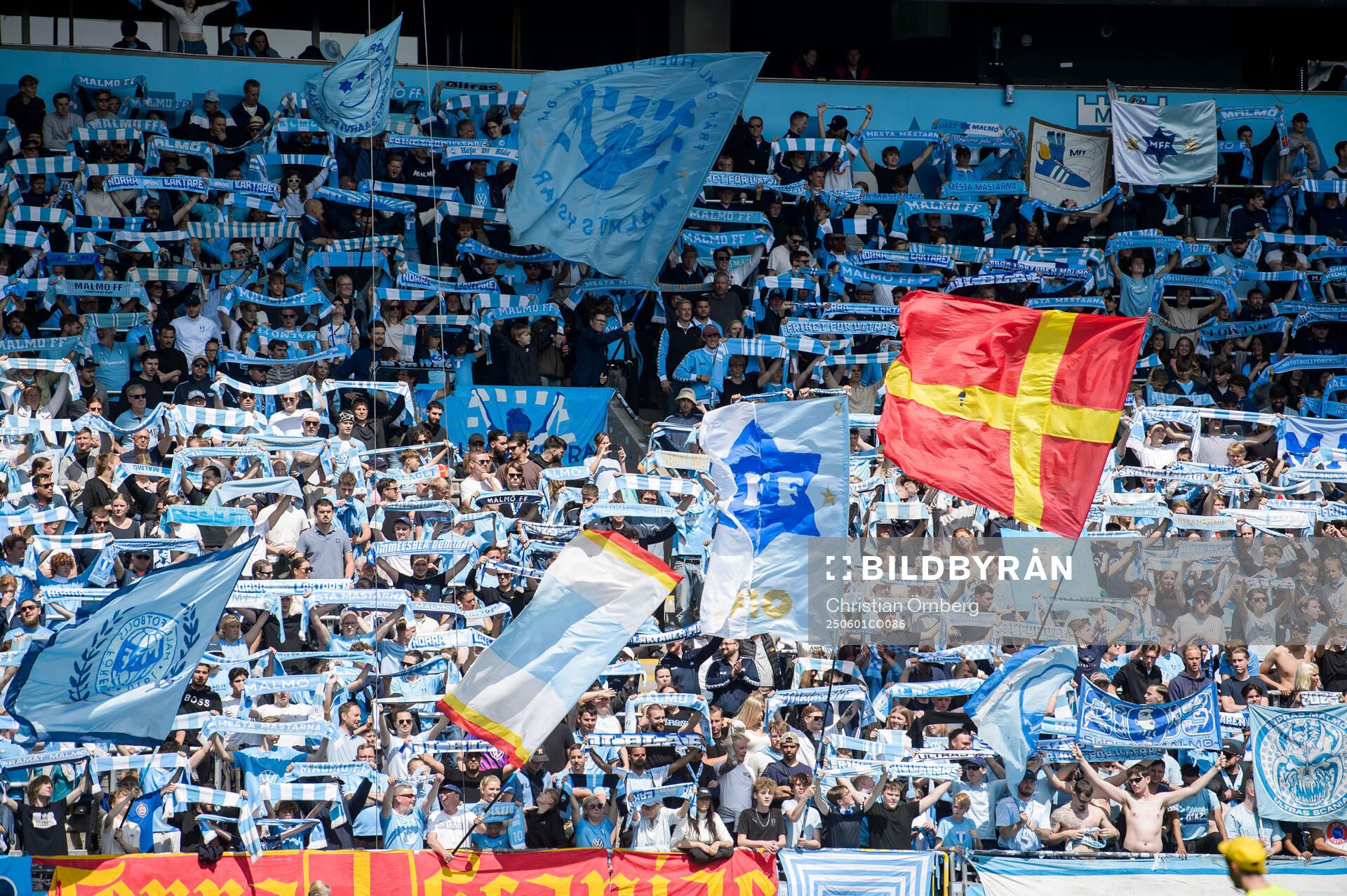 Malmö FFs supportrar
