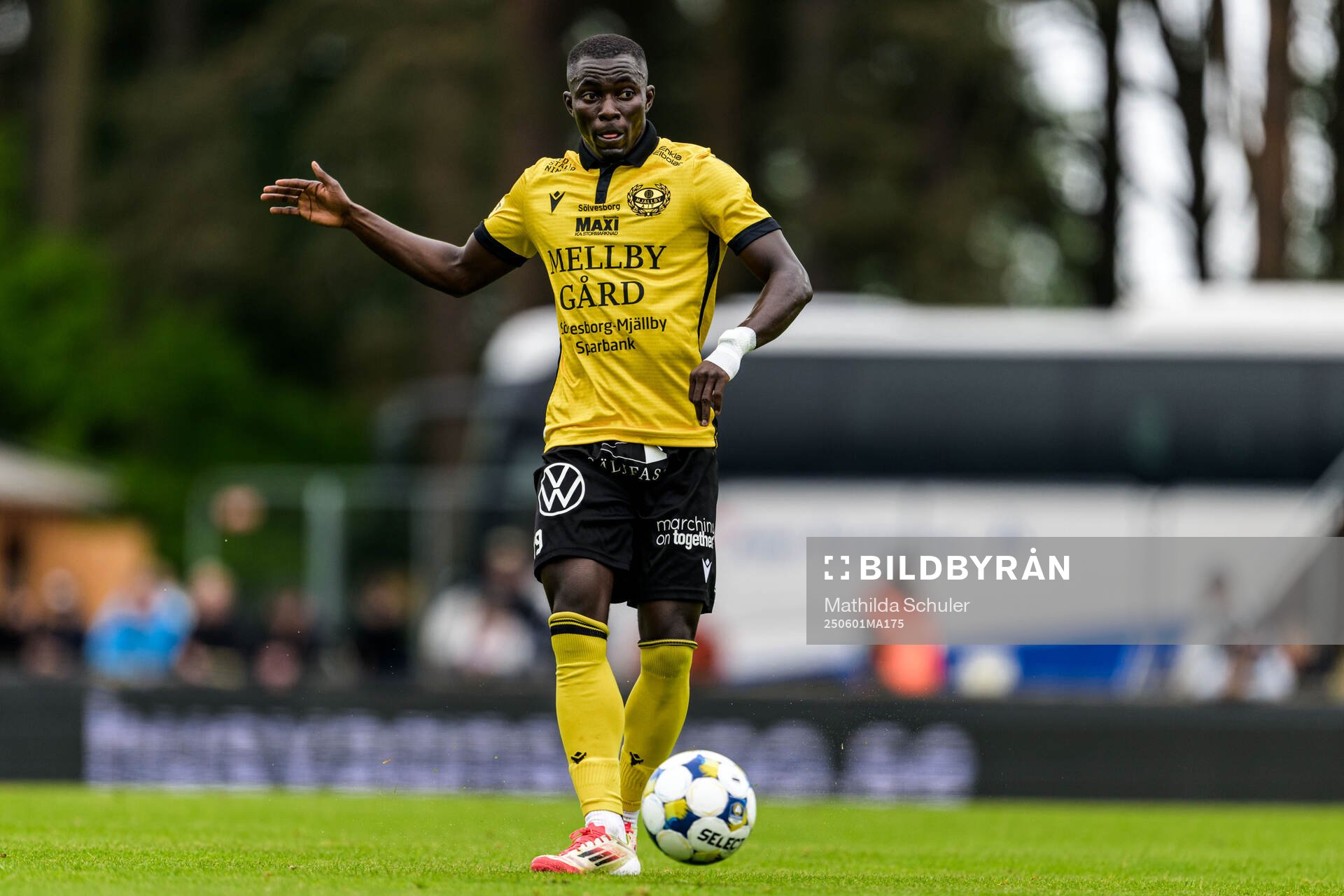 Mjällbys Abdoulie Manneh