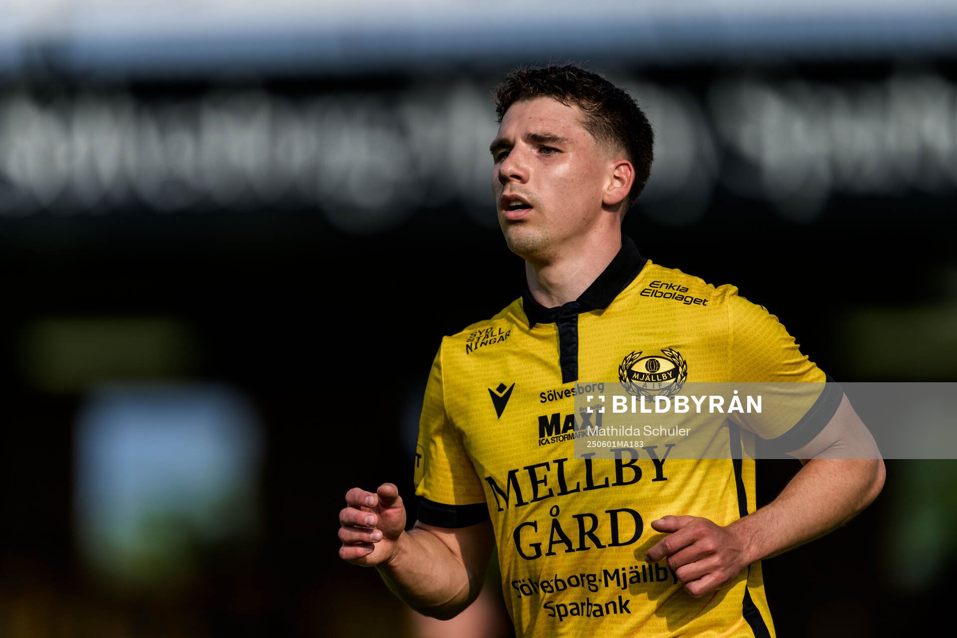 Mjällbys Timo Stavitski
